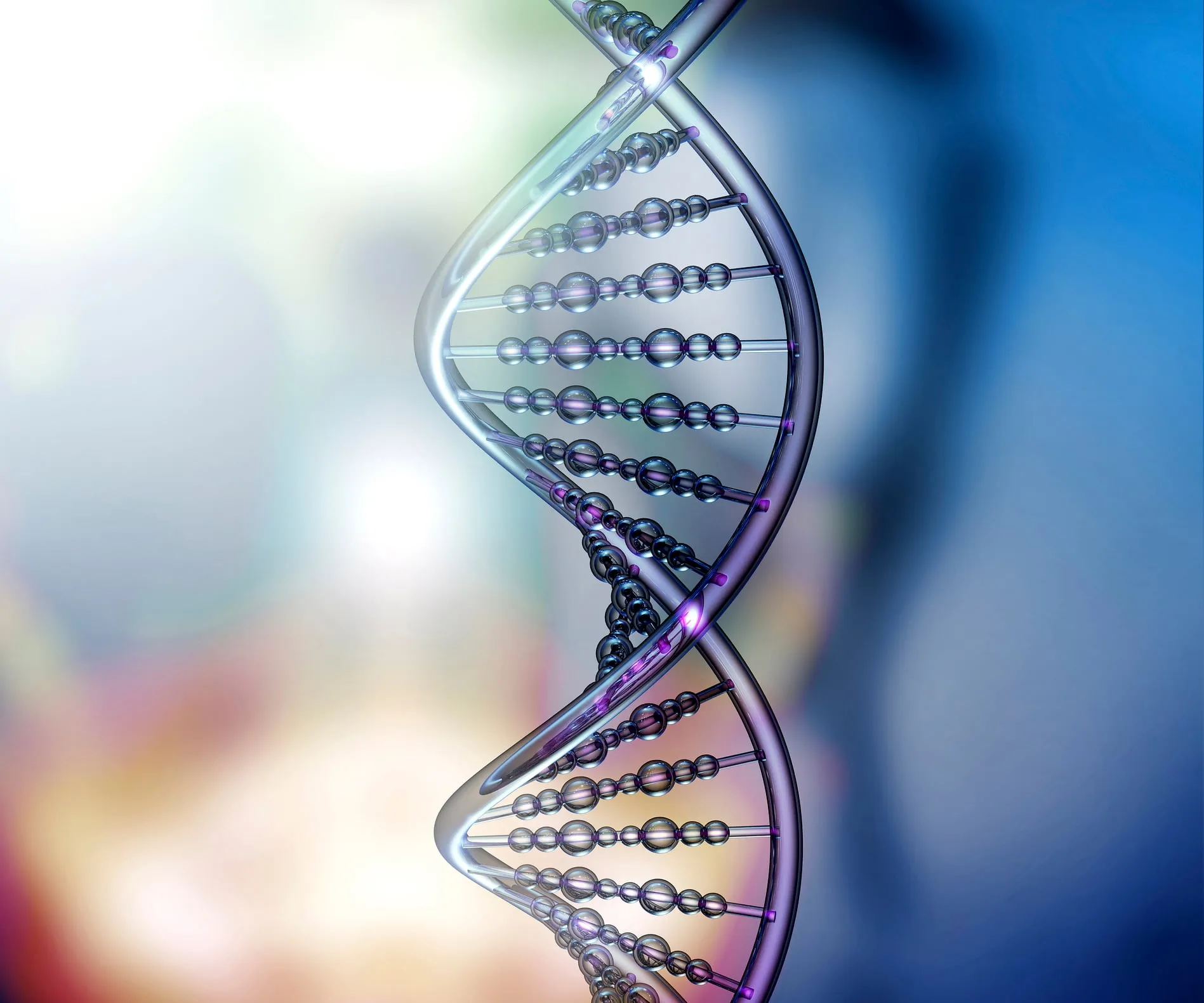 DNA double helix model against a softly blurred blue background