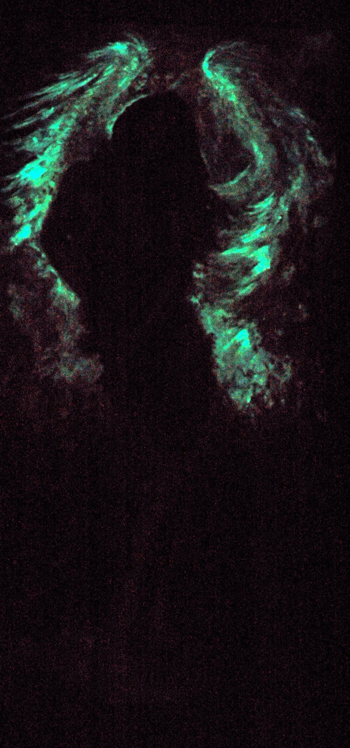 Tommy, glow in the dark view of the oil painting by Colleen Black, green wings glowing around a dark silhouette